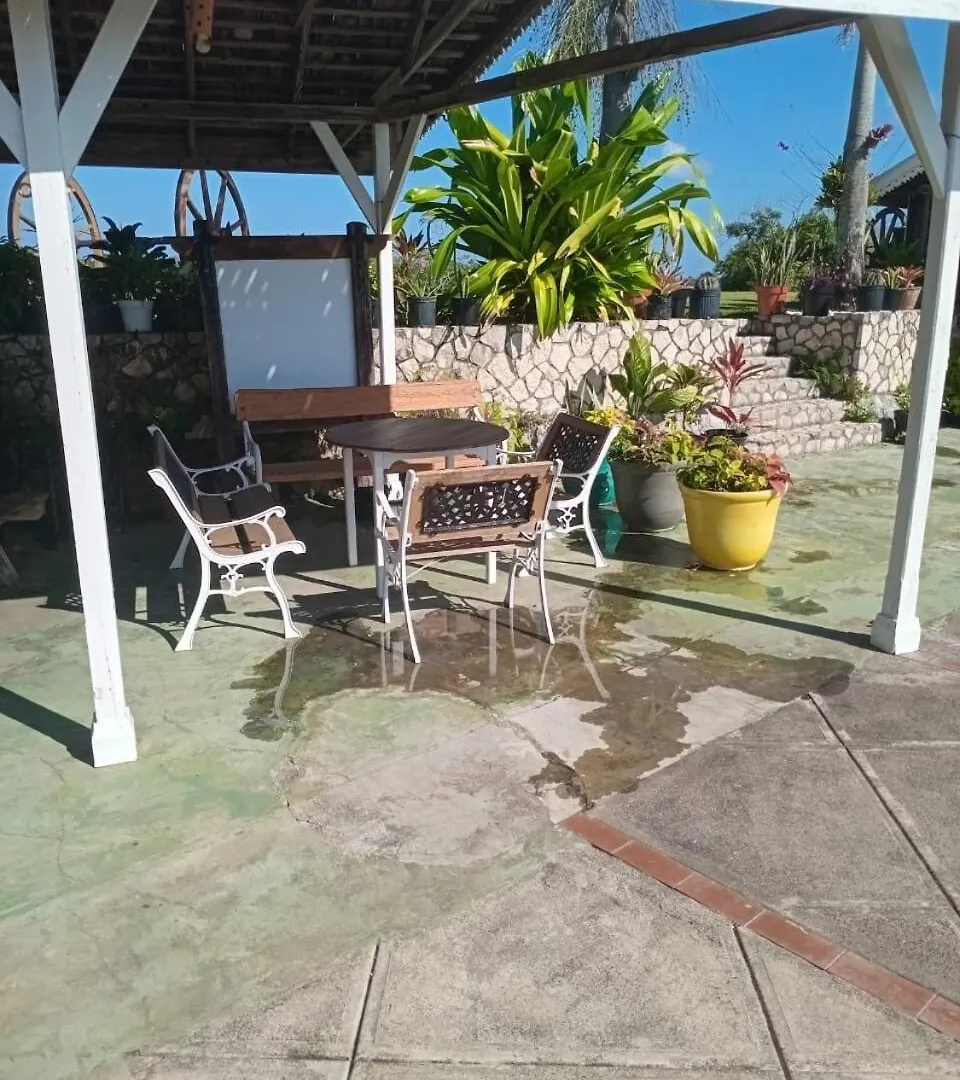 فيلة Escape To Parakeethill B&B نيغريل