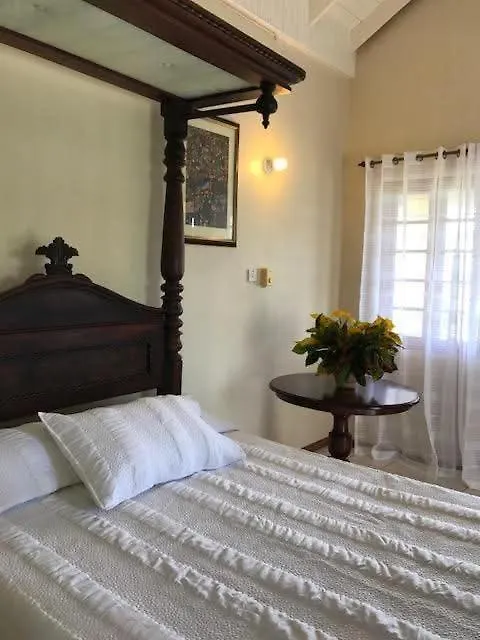 Escape To Parakeethill B&B Negril
