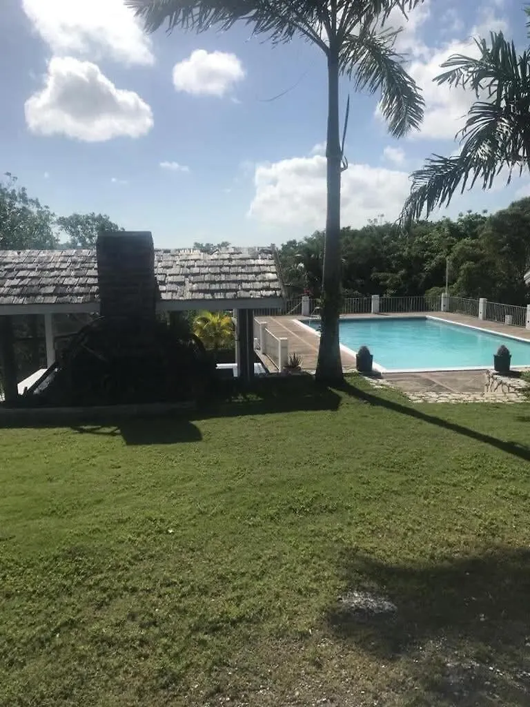 Escape To Parakeethill B&B Negril