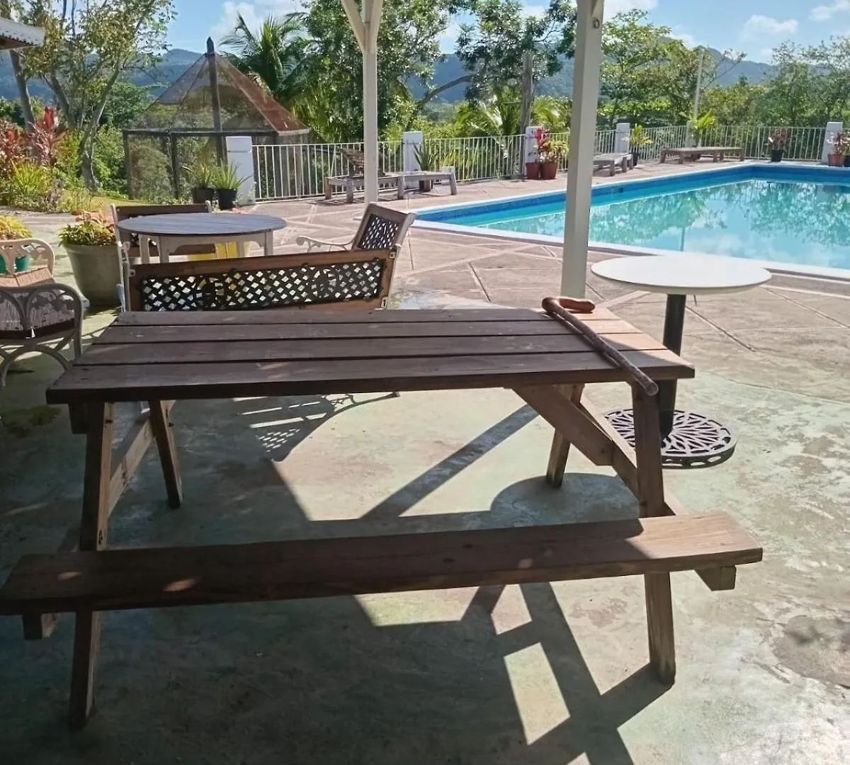 Escape To Parakeethill B&B Negril Villa