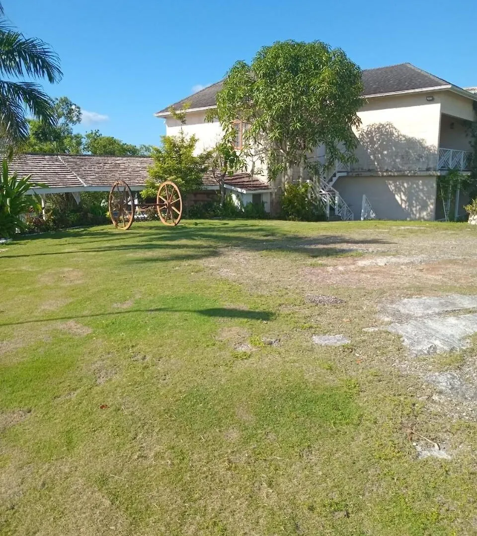 Escape To Parakeethill B&B Negril 0*,