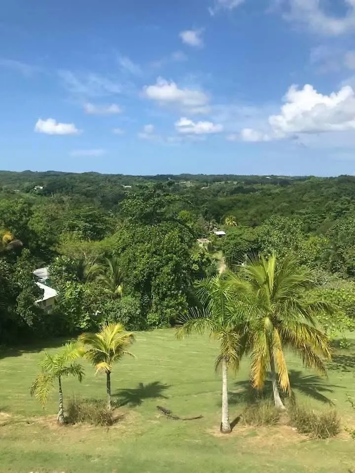 Villa Escape To Parakeethill B&B Negril